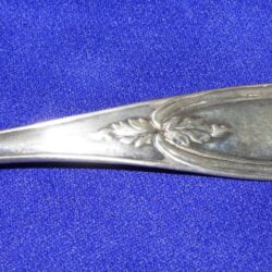 Coin silver mustard ladle