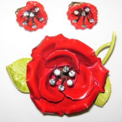 Brooch & earrings